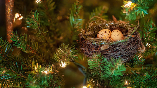 How to Make Your Christmas Tree Bird-Friendly