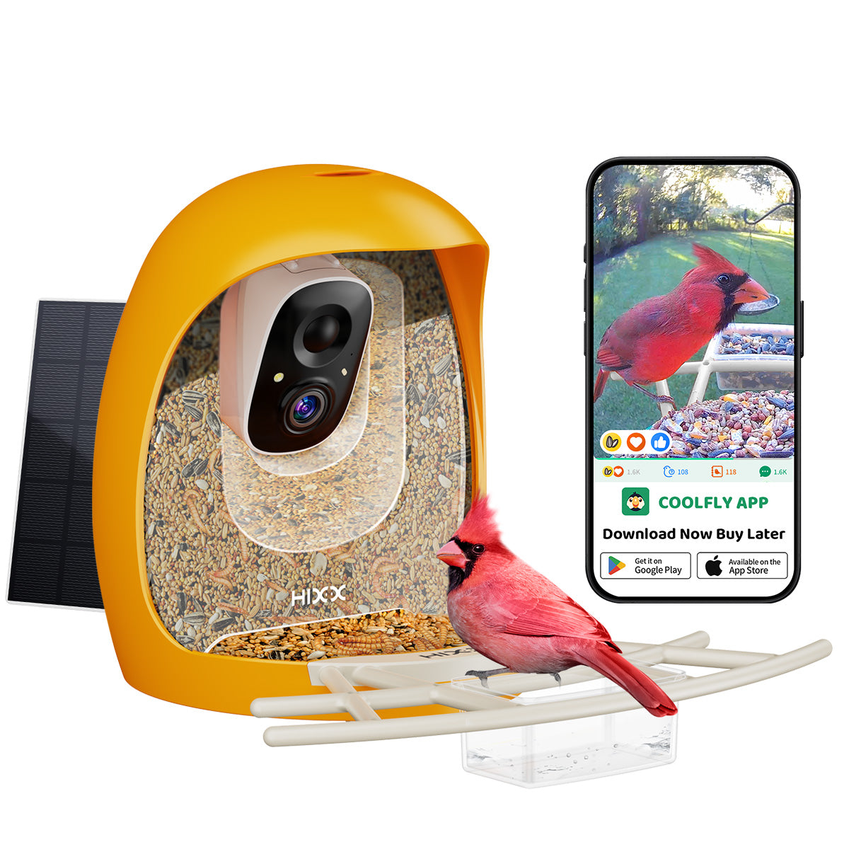 Bird Feeder With Camera