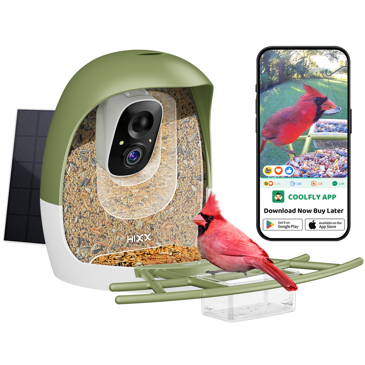 Bird Feeder With Camera