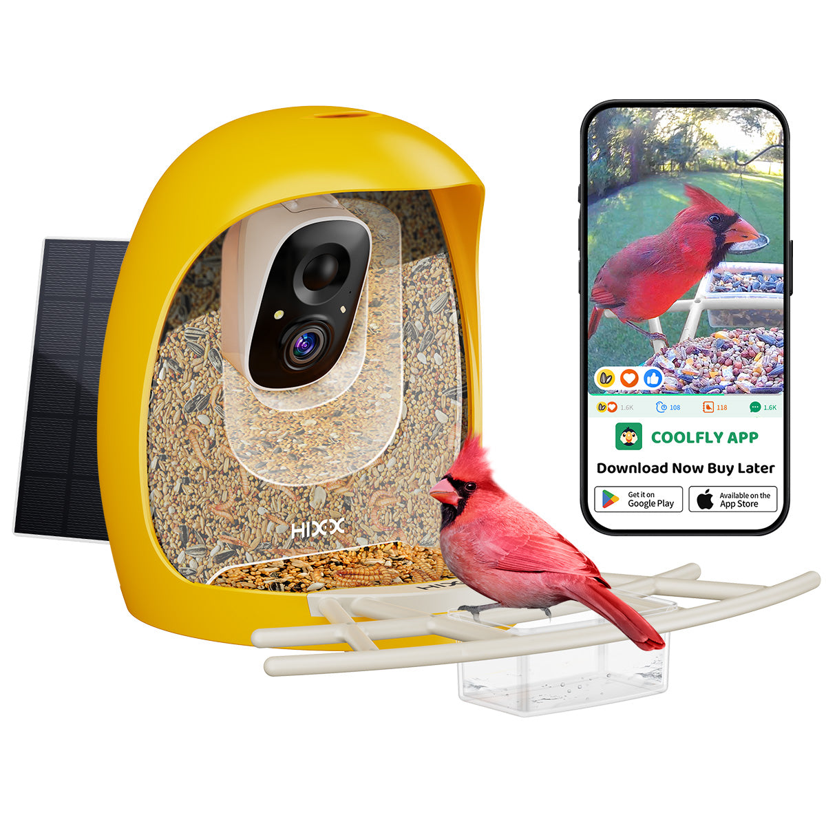 Bird Feeder With Camera