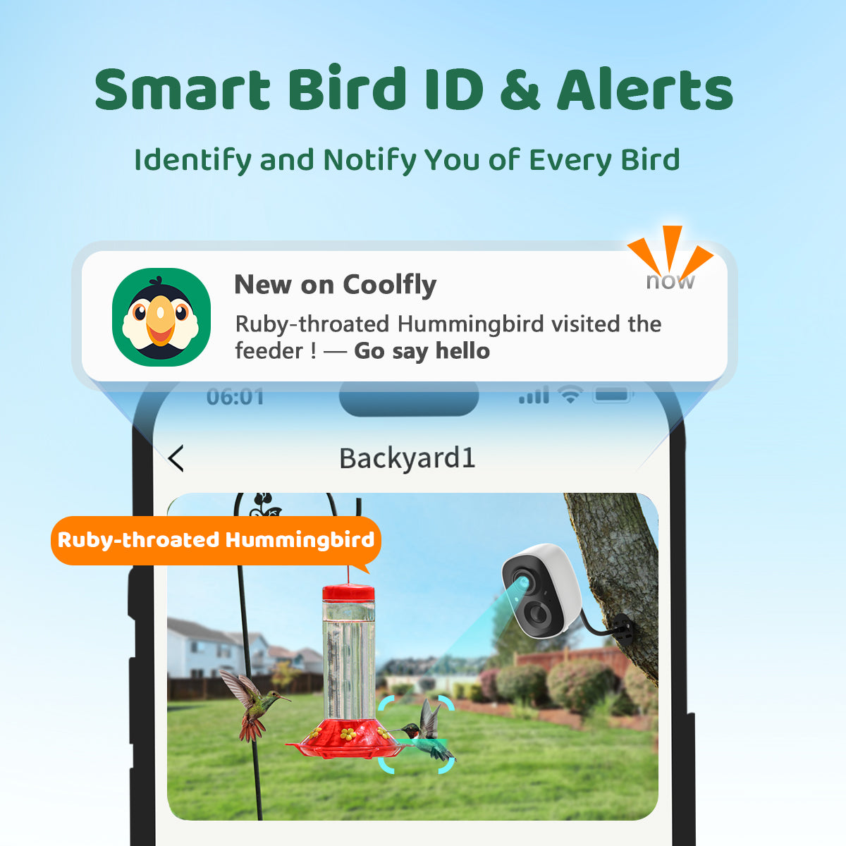 Smart Bird Watching Camera x CoolBirdie