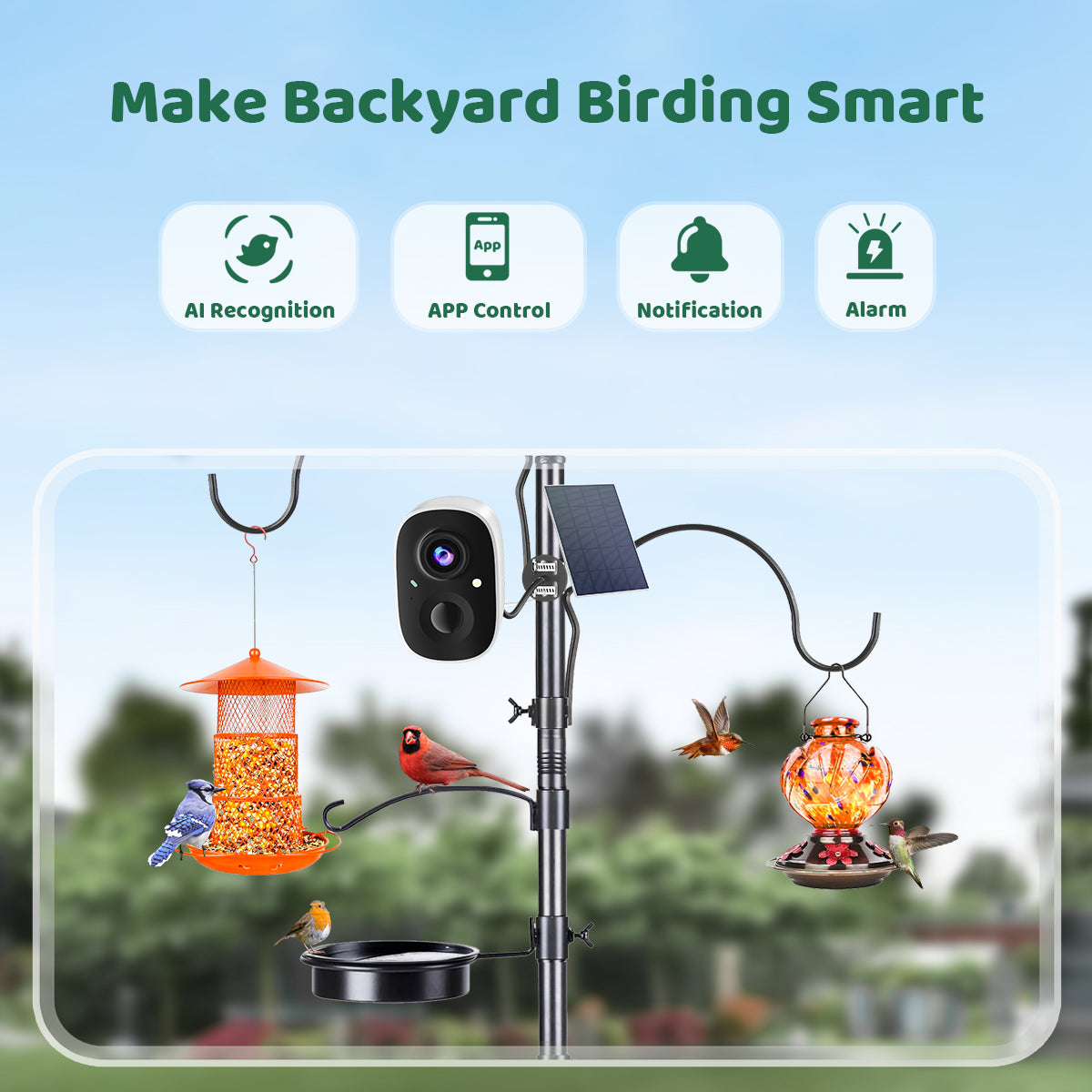 Smart Bird Watching Camera x CoolBirdie