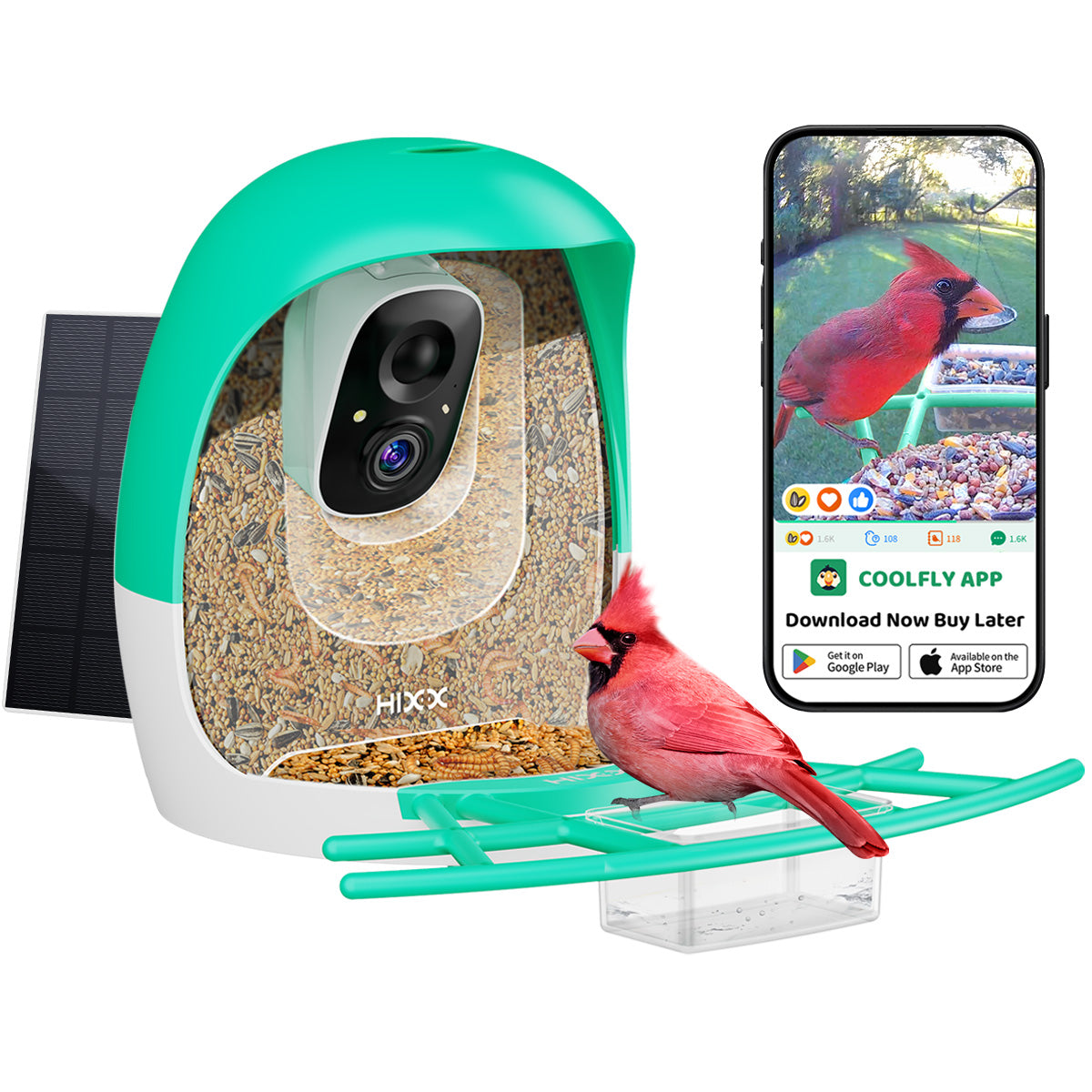 Bird Feeder With Camera