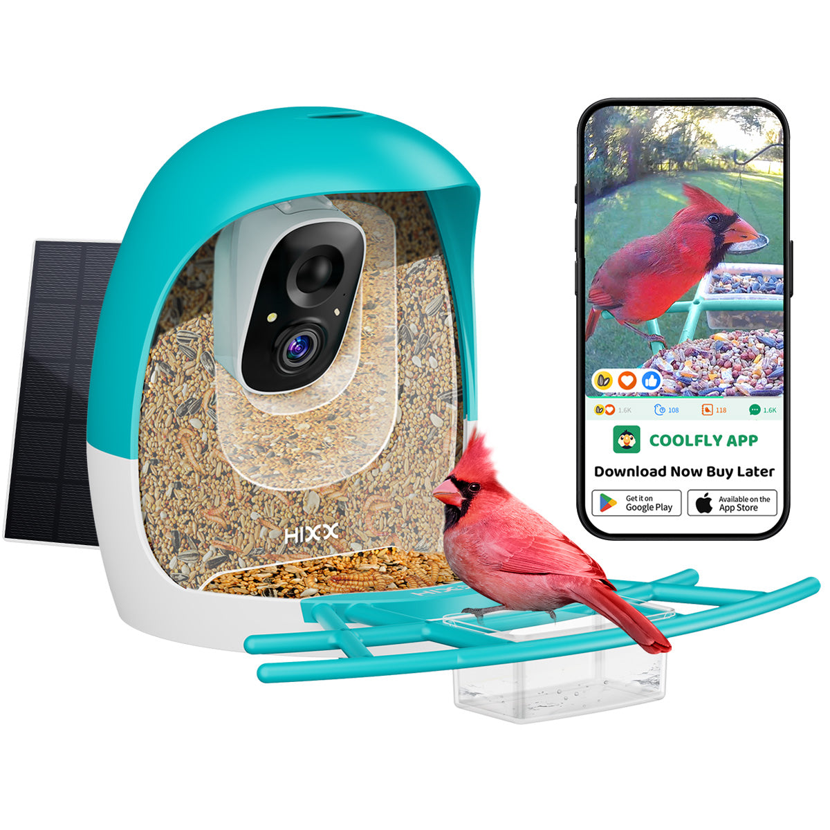 Bird Feeder With Camera