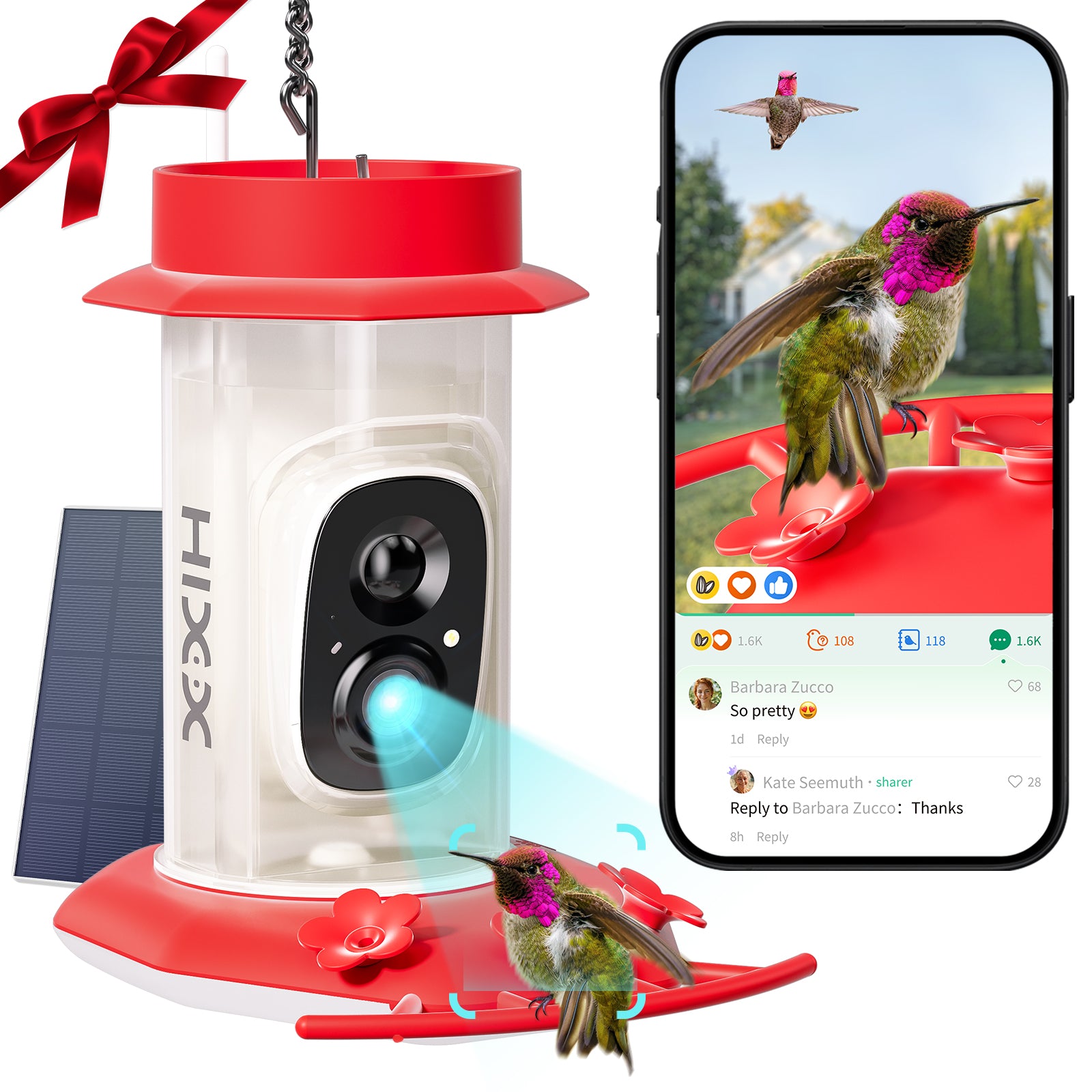 Humming Bird Feeder with Camera