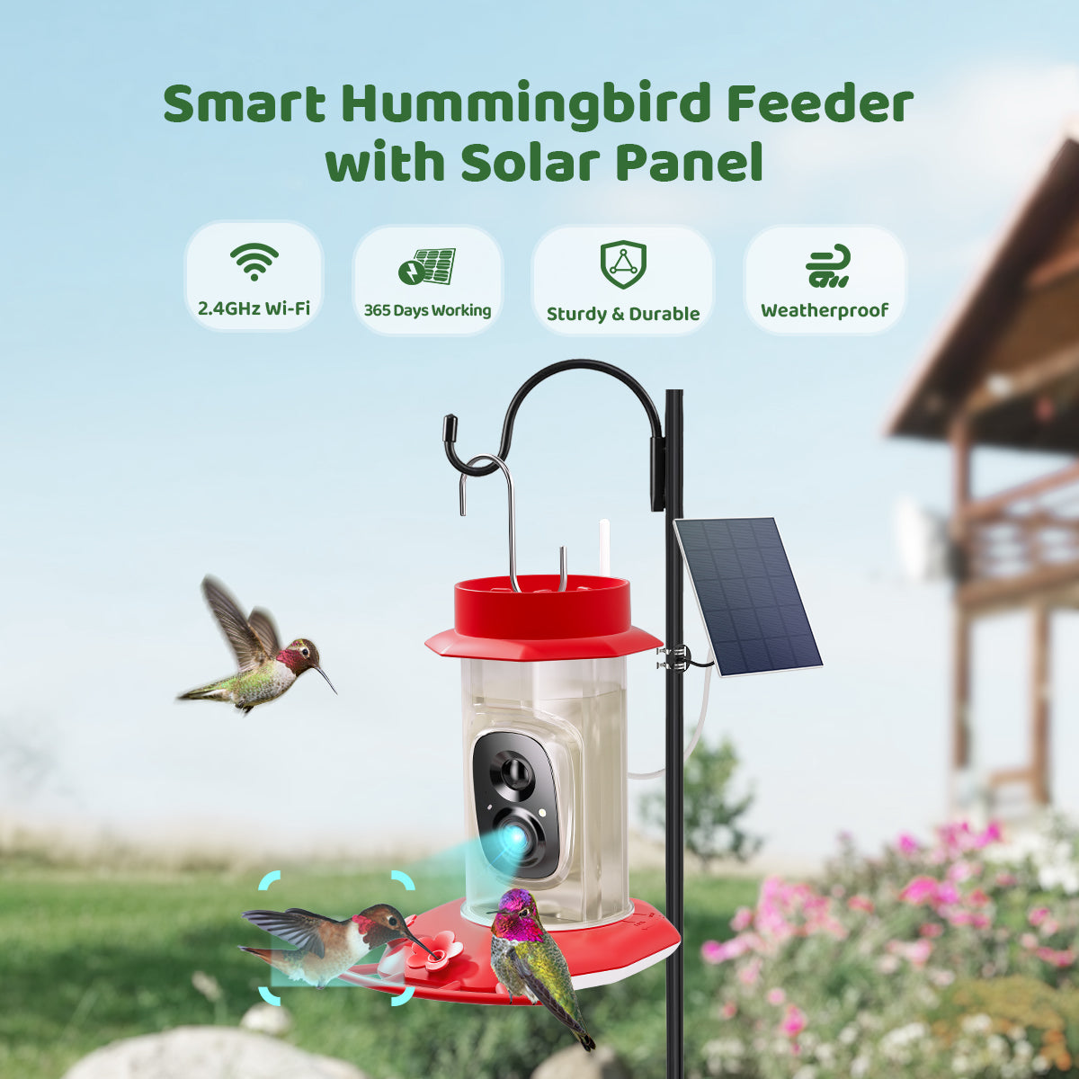 Humming Bird Feeder with Camera