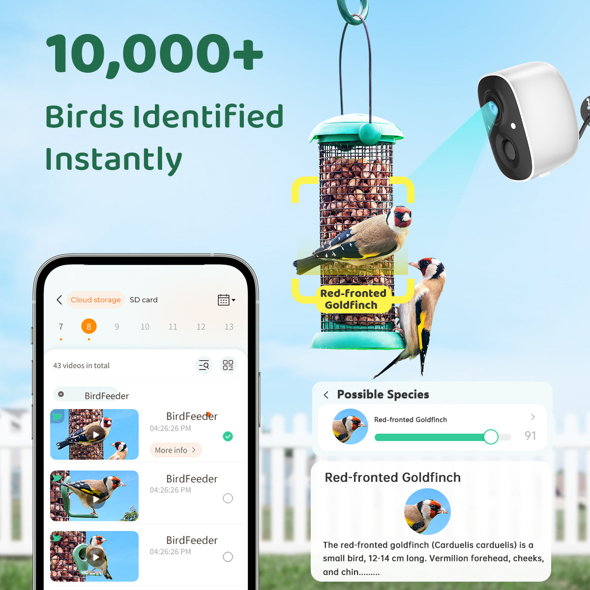 Smart Bird Watching Camera With Solar Panel