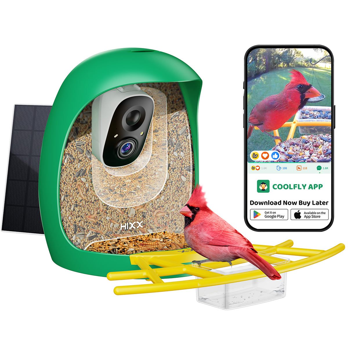 Bird Feeder With Camera