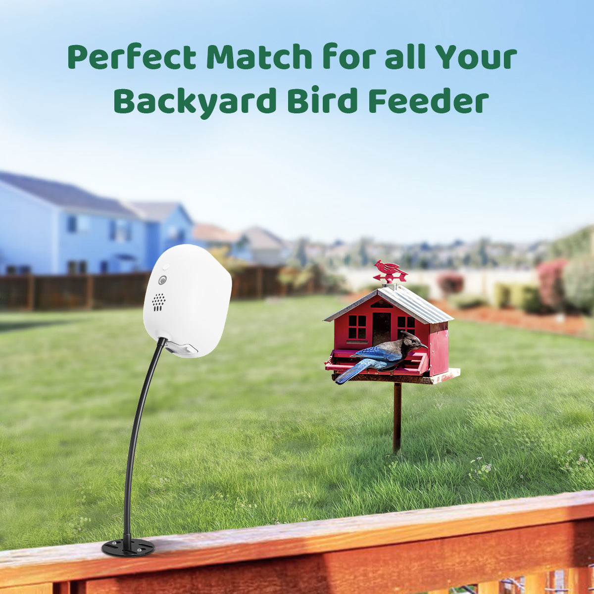 Smart Bird Watching Camera With Solar Panel