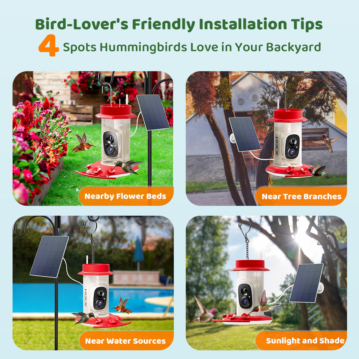 Humming Bird Feeder with Camera