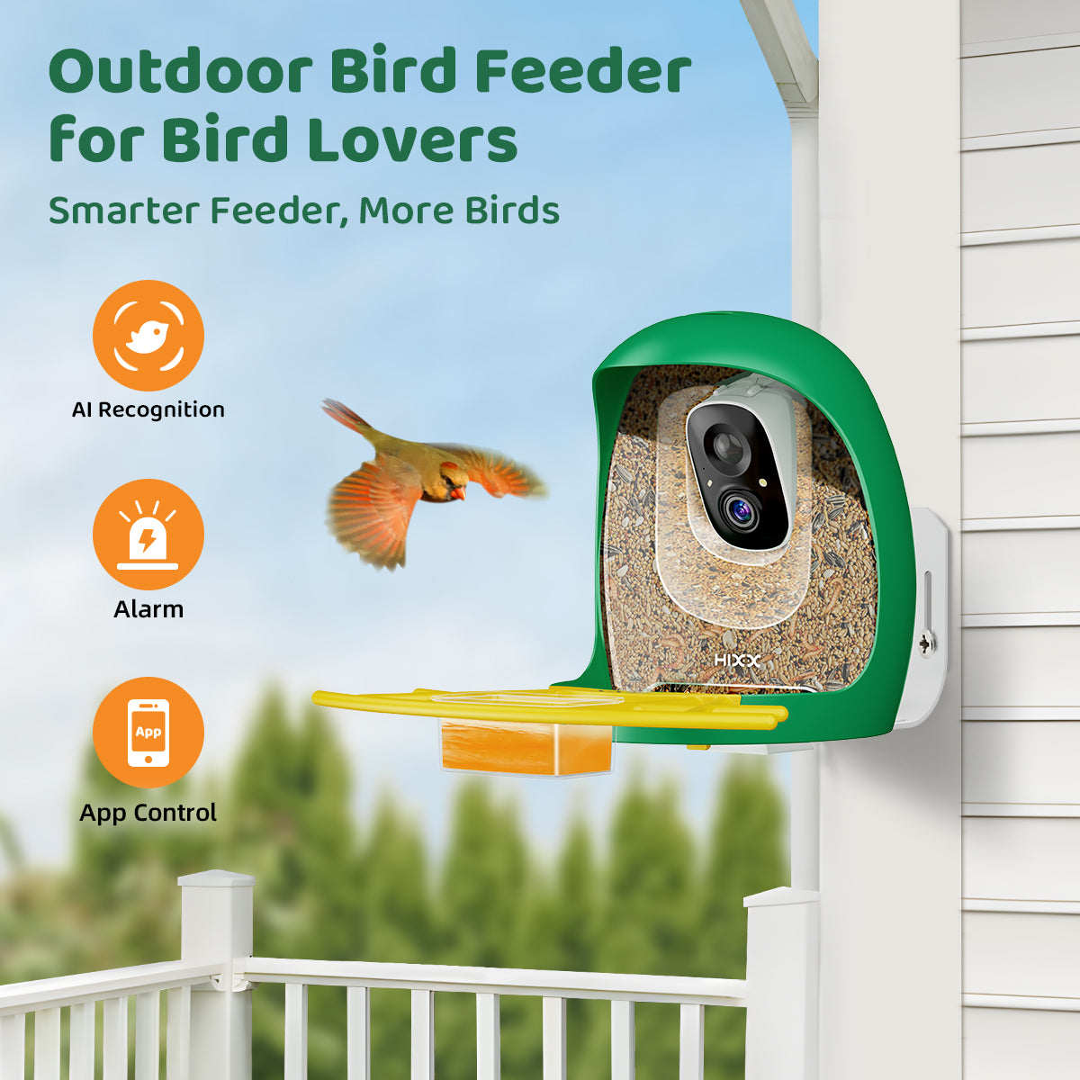 Bird Feeder With Camera