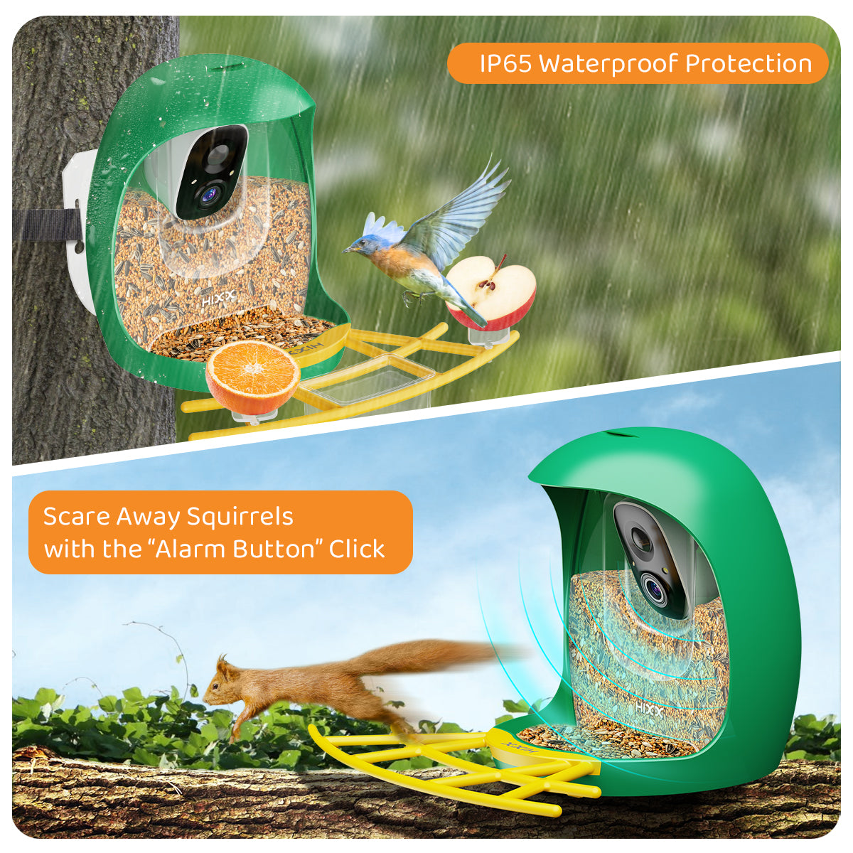 Bird Feeder With Camera