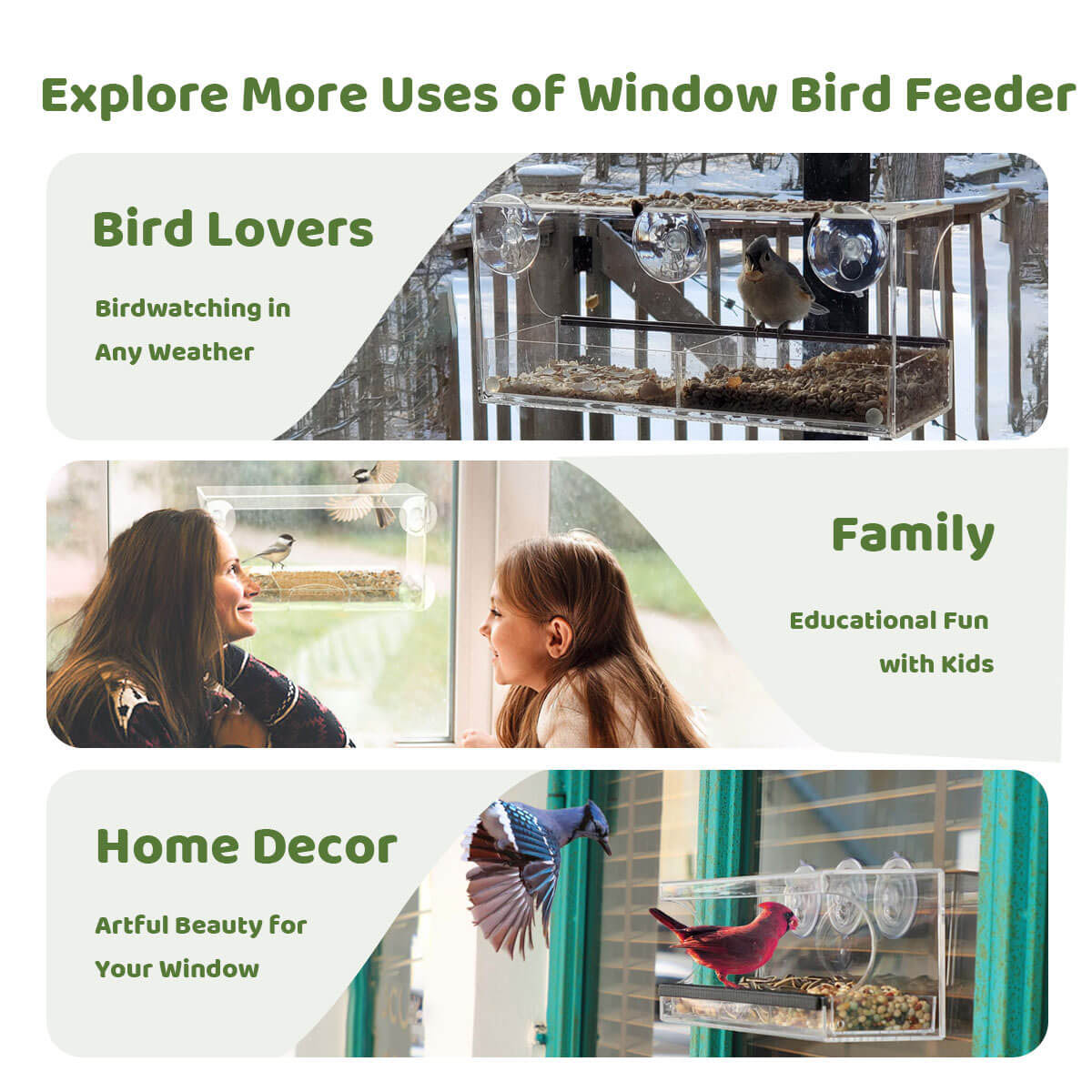 Window Bird Feeder